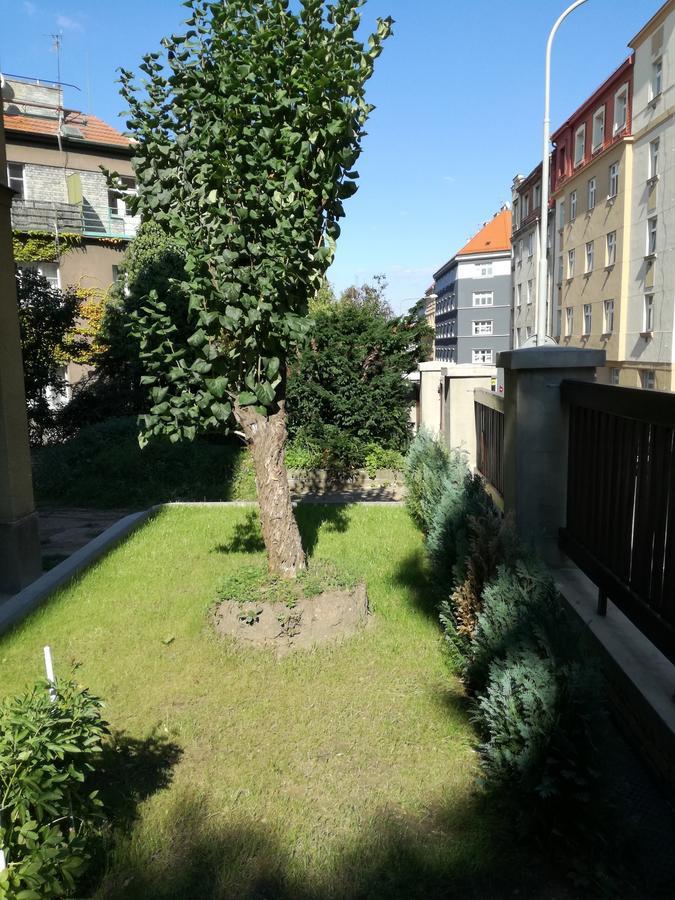 Jezerka * Prague